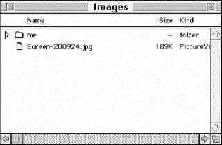 taking a screenshot on the remote Macintosh